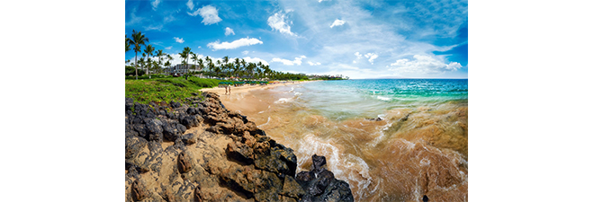 mauifeat mauifeat