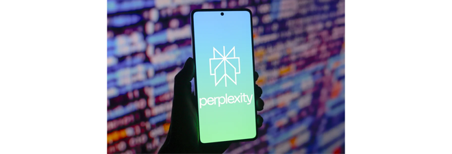 perplexity perplexity